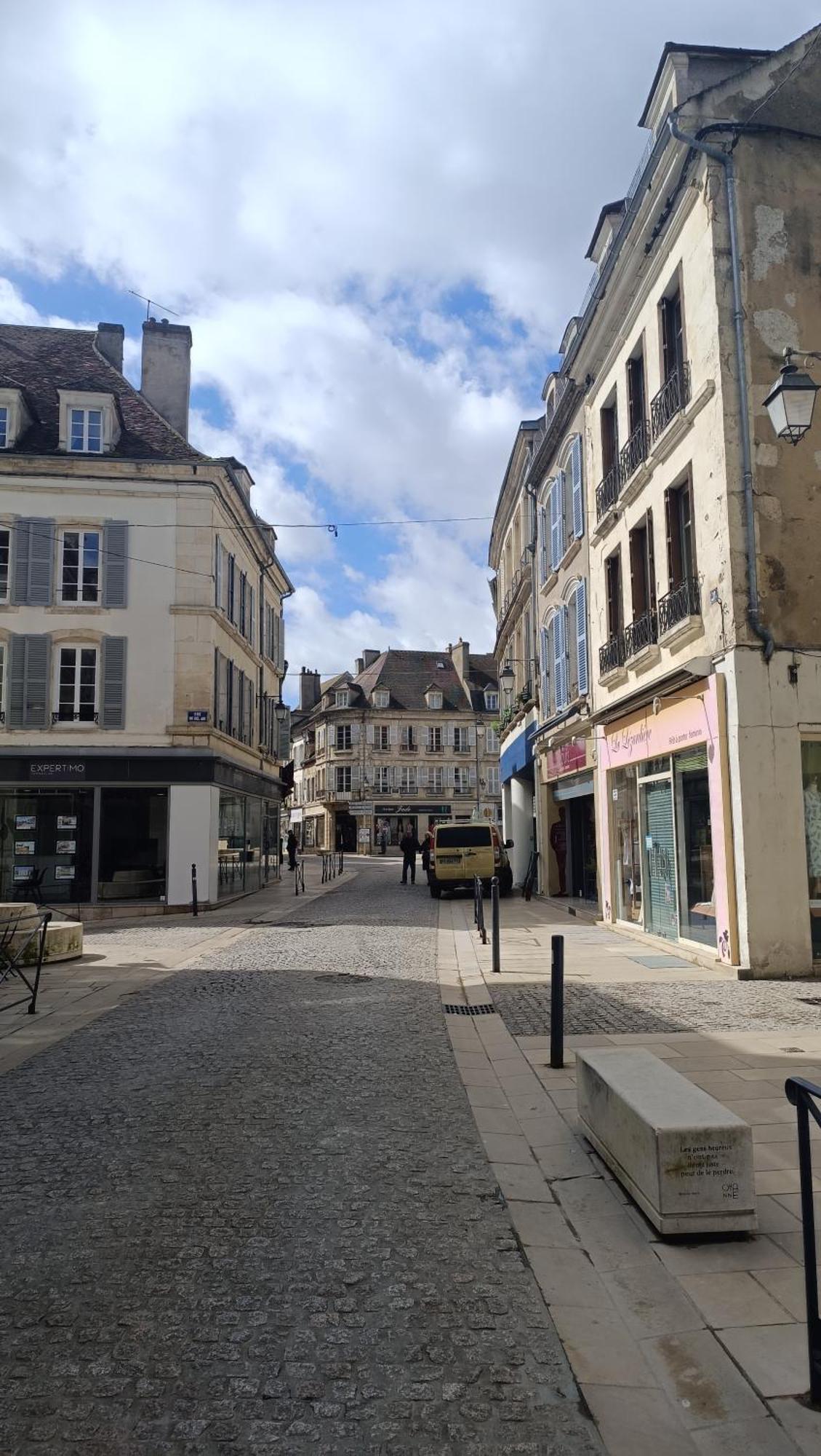 Terre De Bourgogne - Appartement Au Centre Ville D'アヴァヨン エクステリア 写真
